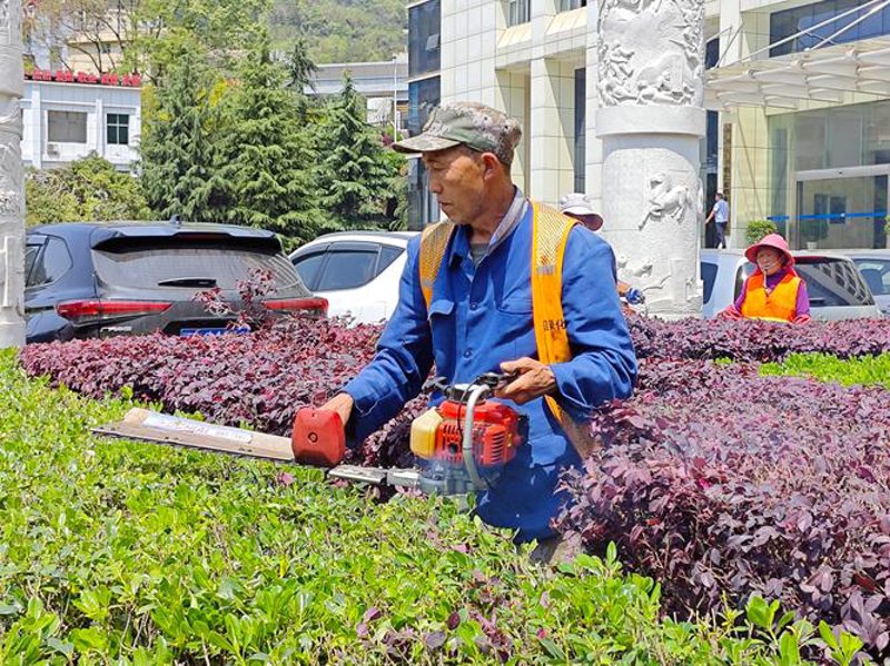 屋顶花园设计选购指南