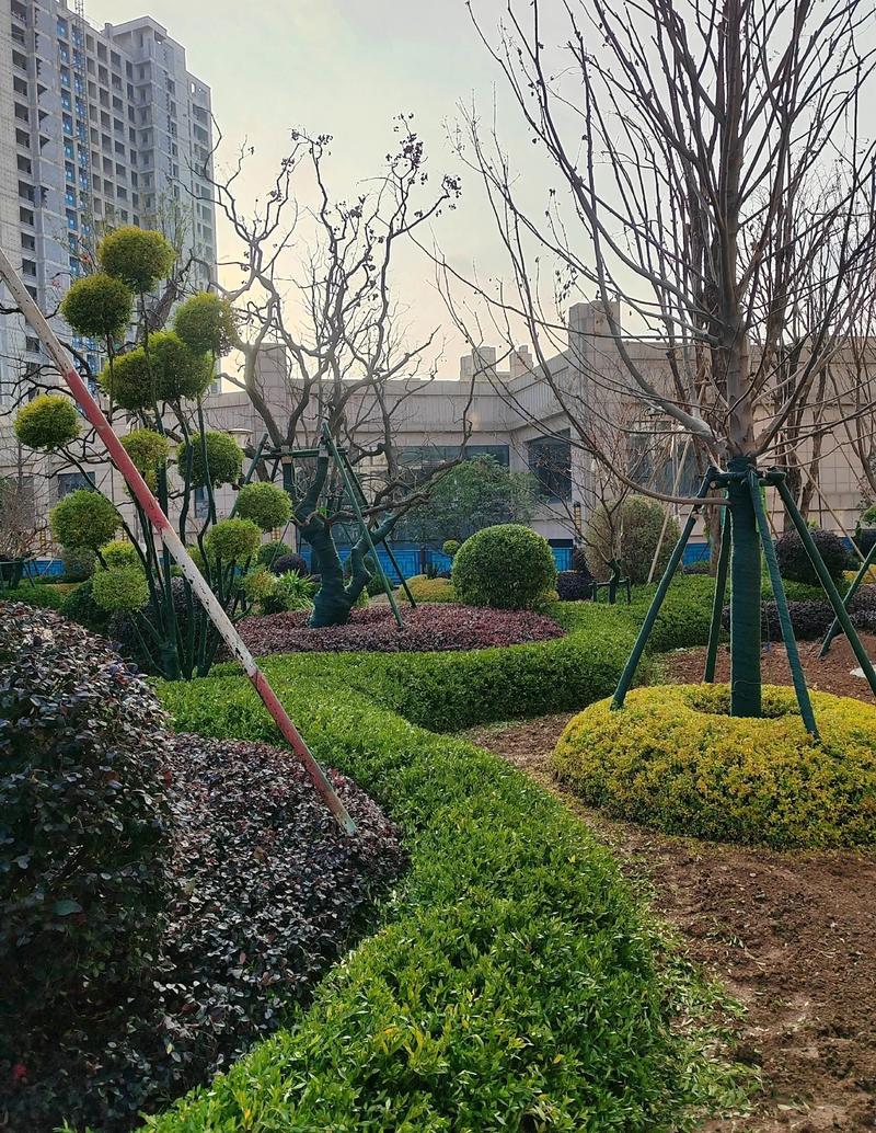 屋顶花园设计趋势引领未来生活新风尚